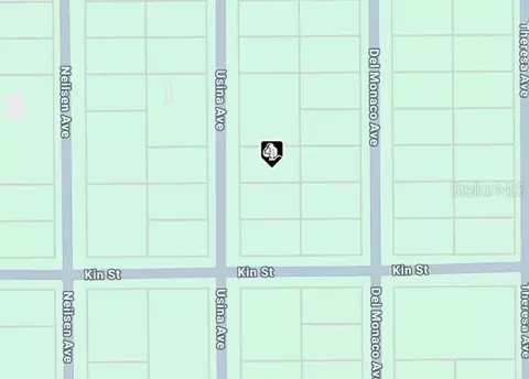 Usina Ave, Interlachen, FL 32148 photo 4