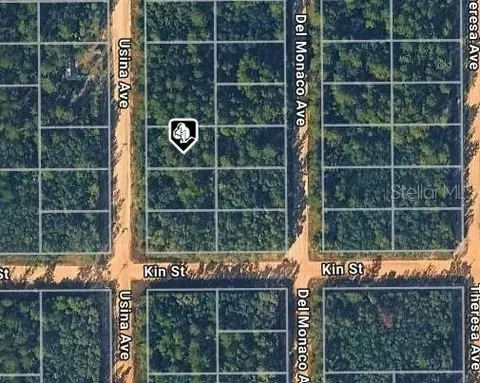 Usina Ave, Interlachen, FL 32148 photo 3