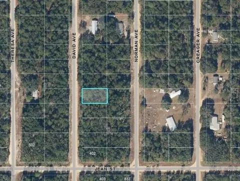 David Ave, Interlachen, FL 32148 photo 2