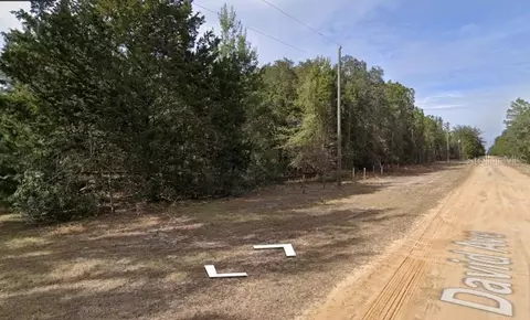 David Ave, Interlachen, FL 32148 photo 3