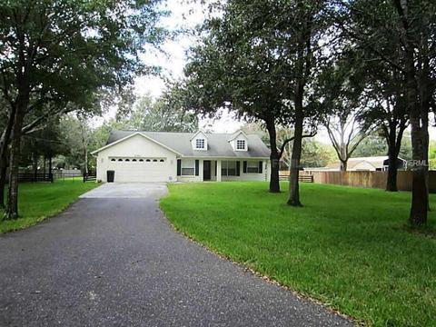 27387 Golf Course Loop, Wesley Chapel, FL 33544 photo 1
