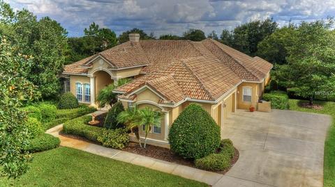 19821 Wetherby Ln, Lutz, FL 33549 photo 1