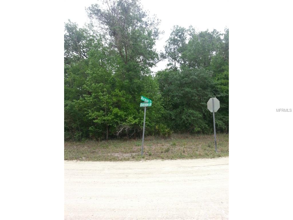 Riverview Drive, Webster, FL 33597 photo 1
