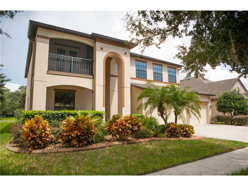 2016 Abbey Trace Dr, Dover, FL 33527 photo 1