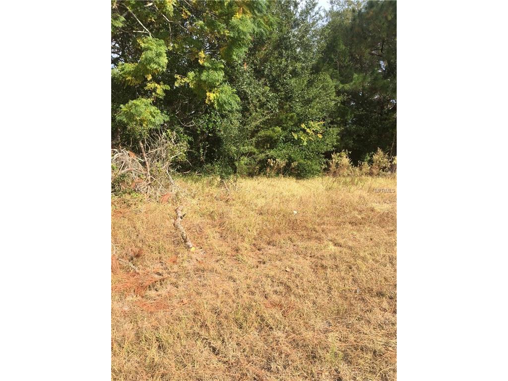 4351 Andres St, Spring Hill, FL 34608 photo 1