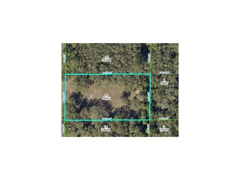 7392 Atwood Dr, Webster, FL 33597 photo 1
