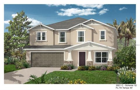 11508 Luckygem Dr, Riverview, FL 33579 photo 1