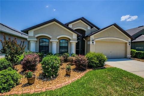 6646 Boulder Run Loop, Wesley Chapel, FL 33545 photo 1