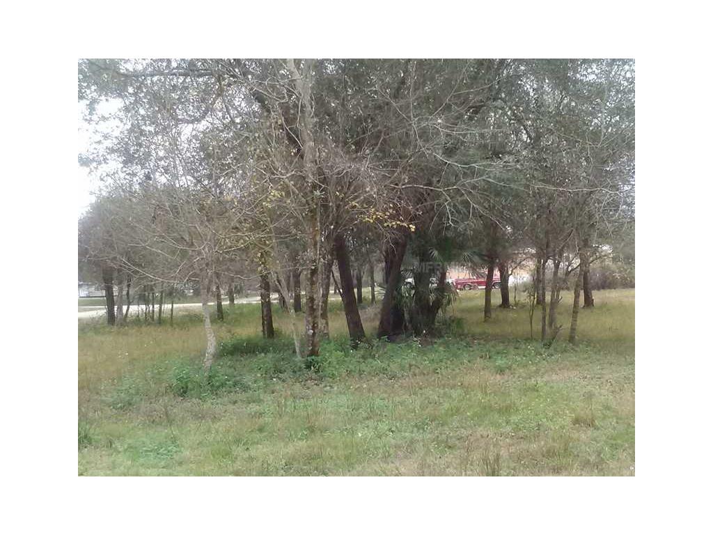 6331 Pablo Ave, Arcadia, FL 34266 photo 1
