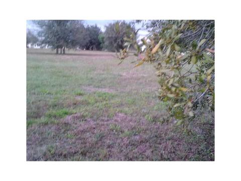 8481 Riverside Dr, Arcadia, FL 34269 photo 1