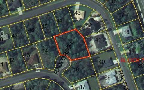 3 Radford Pl, Palm Coast, FL 32164