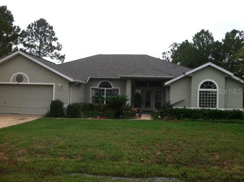 41 Patchogue Ln, Palm Coast, FL 32164 photo 1