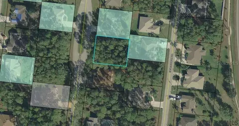 21 Eagle Crest Path, Palm Coast, FL 32164 photo 1