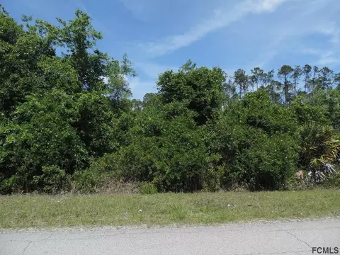 1667 Guava Ln, Bunnell, FL 32110 photo 1