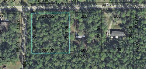 4433 Butternut Ave, Bunnell, FL 32110 photo 1