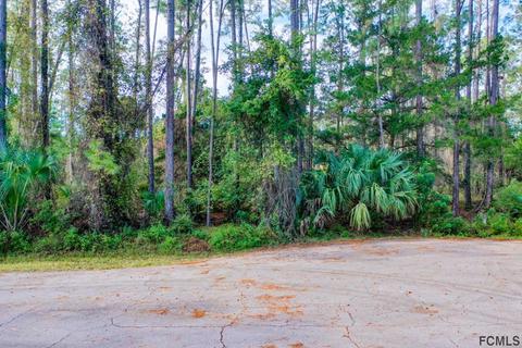 15 Riptide Pl, Palm Coast, FL 32164 photo 1