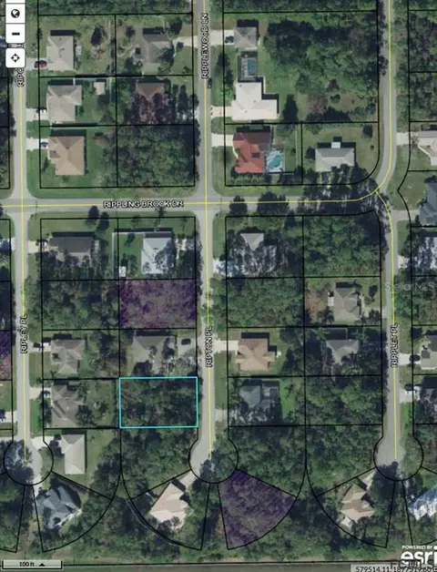 8 Ripton Pl, Palm Coast, FL 32164