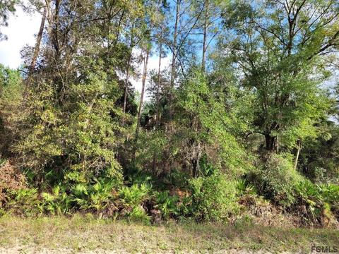 471 County Road 302, Bunnell, FL 32110 photo 1