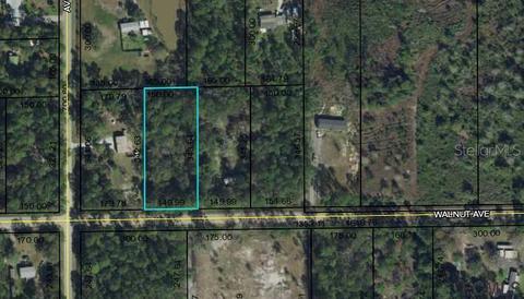 5896 Walnut Ave, Bunnell, FL 32110 photo 1