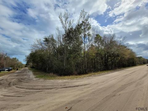 3767 Pear Ave, Bunnell, FL 32110 photo 1