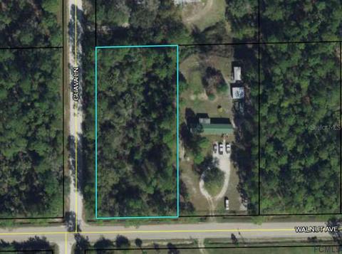 1961 Guava Ln, Bunnell, FL 32110 photo 1
