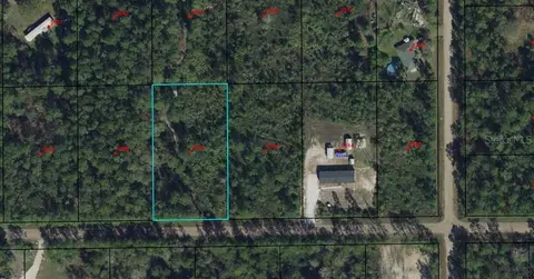 5576 Palm Ave, Bunnell, FL 32110