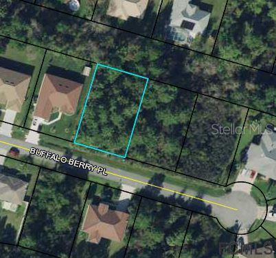13 Buffalo Berry Pl, Palm Coast, FL 32137
