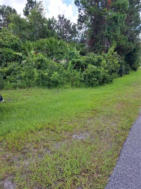 14 Buffalo Grove Dr, Palm Coast, FL 32137