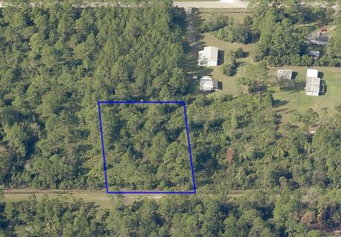 2890 Pineapple St, Bunnell, FL 32110 photo 1