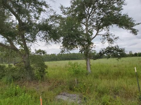 415407 County Rd 13, Bunnell, FL 32110
