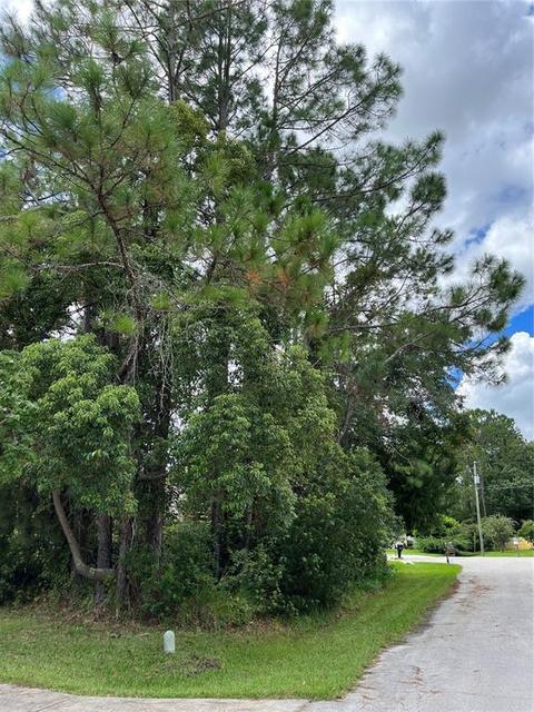 5 Wildwood Pl, Palm Coast, FL 32164