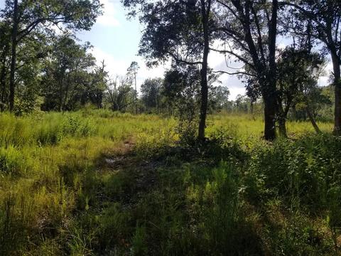 1100 County Road 2007, Bunnell, FL 32110 photo 1
