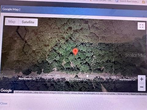 110 Northeast Ct, Georgetown, FL 32139