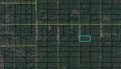 X Fred Avenue, Hastings, FL 32145