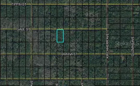 Nn Gale Street, Hastings, FL 32145