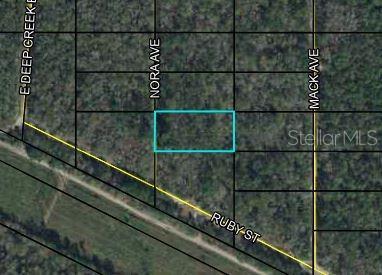X Nora Avenue, Hastings, FL 32145