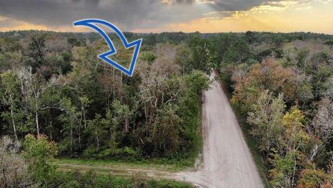 2159 Forest Park St, Bunnell, FL 32110 photo 1