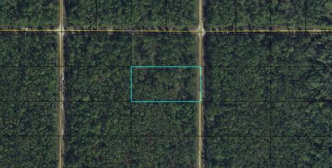 X Dillon Avenue, Hastings, FL 32145