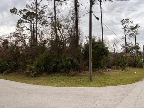 35 Zephyr Lily Trl, Palm Coast, FL 32164