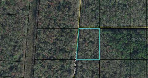 Deep Creek Boulevard E, Bunnell, FL 32110