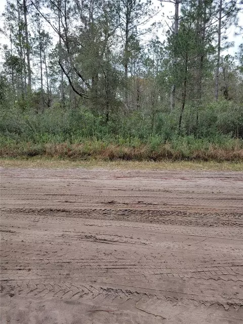 5009 Jonathan St, Hastings, FL 32145