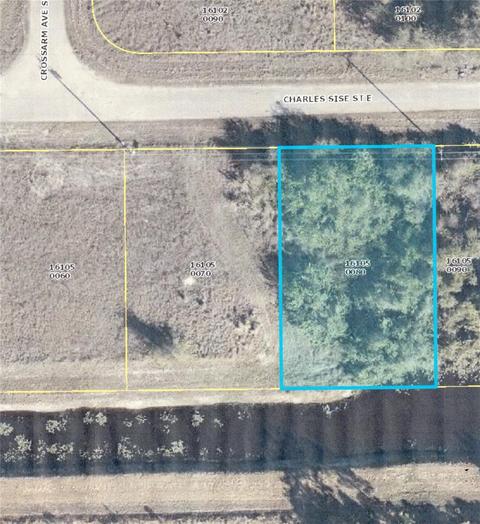 848 E Charles Sise St, Lehigh Acres, FL 33974