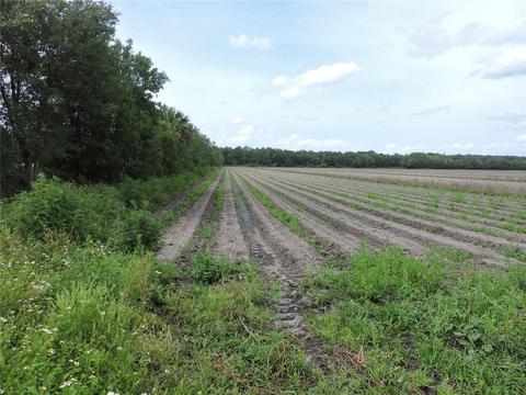 County Road 90 Road E, Bunnell, FL 32110