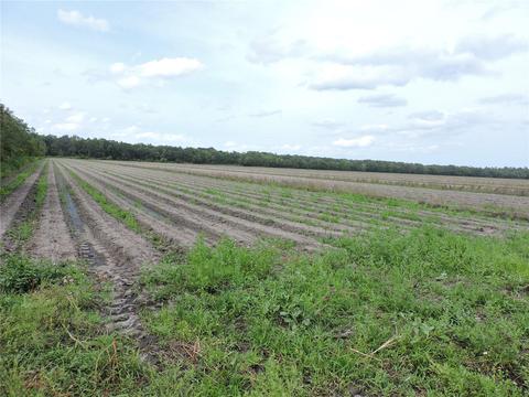 County Road 90 Road E, Bunnell, FL 32110