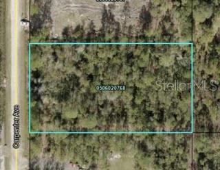 10250 Carpenter Ave, Hastings, FL 32145