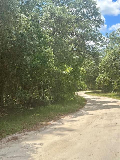 Tbd Pond Circle, Interlachen, FL 32148