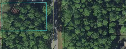 79 Edith Pope Dr, Palm Coast, FL 32164