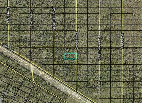 Vaughn Avenue, Hastings, FL 32145