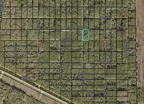 X Olsen Street, Hastings, FL 32145