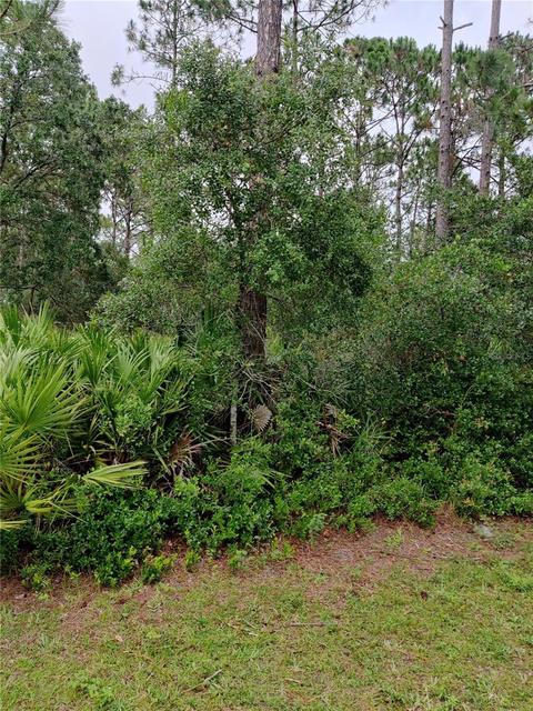 44 Easterly Pl, Palm Coast, FL 32164